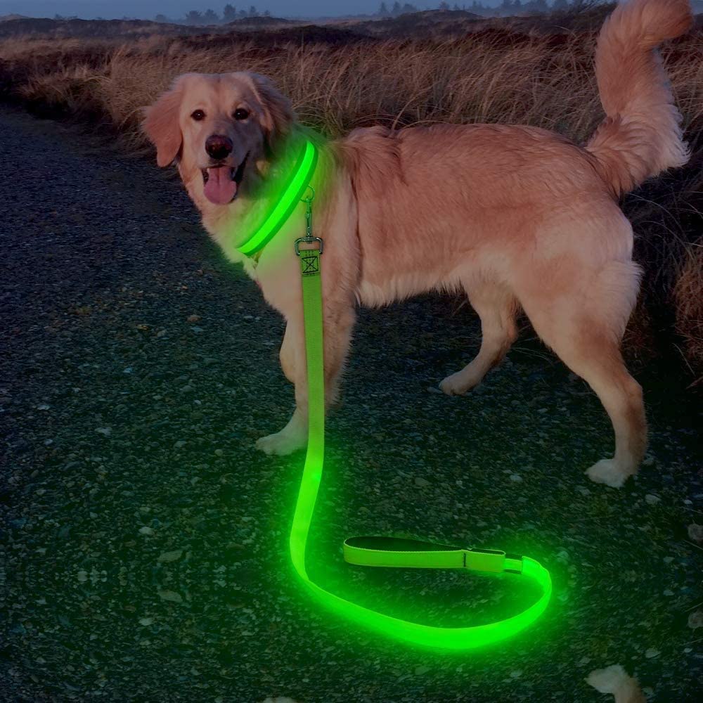 Glowing Dog Leash 2