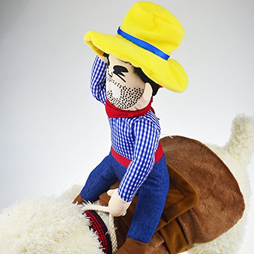 Ride Em' Cowboy Dog Costume 3