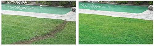 Liquid Lawn System 4