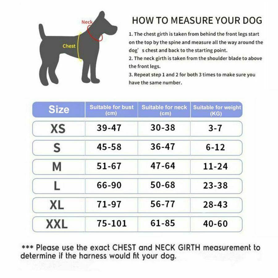 CUSTOM DOG HARNESS 4
