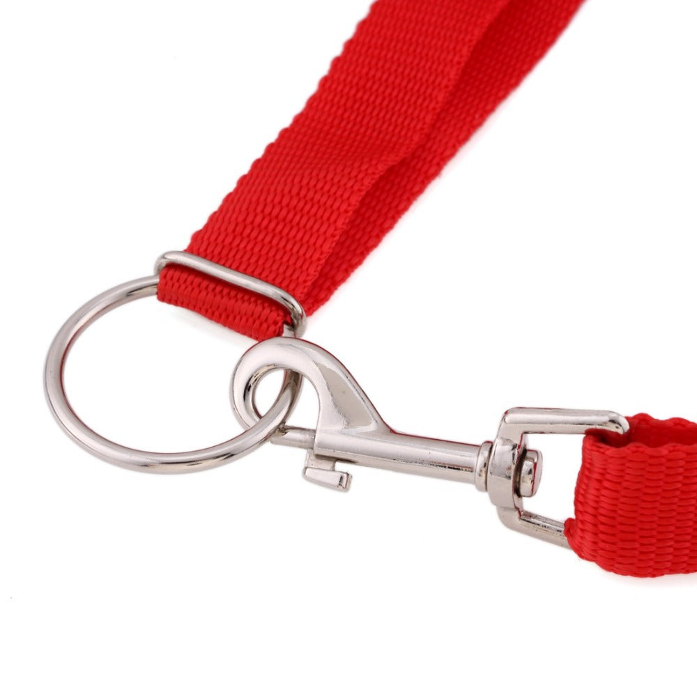 Instant dog trainer leash 4