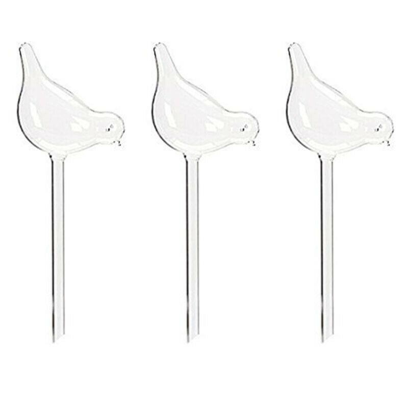 Self Watering Bird Bulbs 4