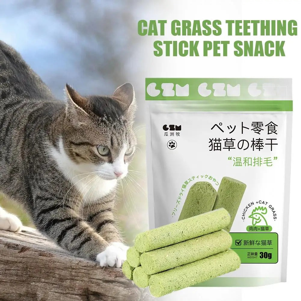 Cat Grass Teething Sticks 6
