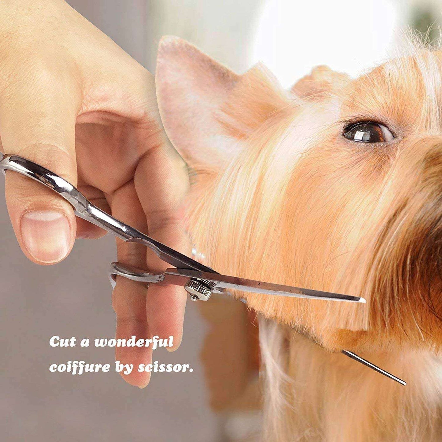 Pet Hair Trimmer 6