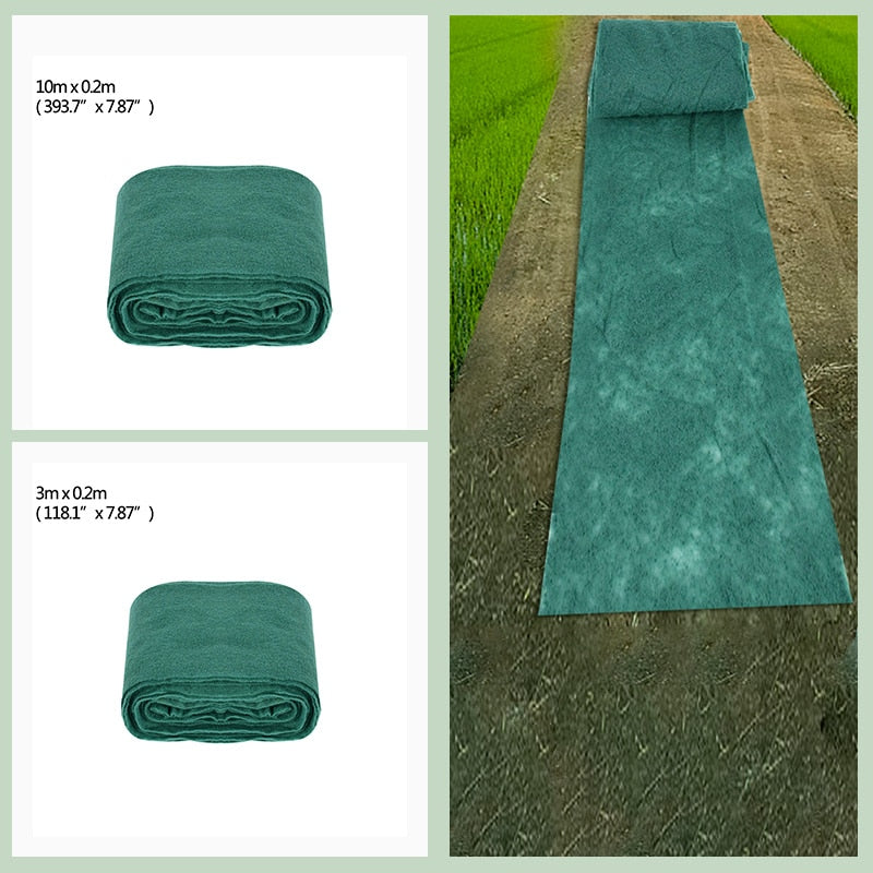 Grass Seed Mat 6