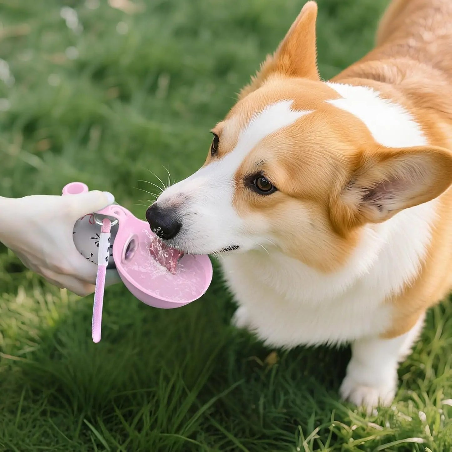 Portable Dog Water Bottle with Waste Bag Dispenser 8