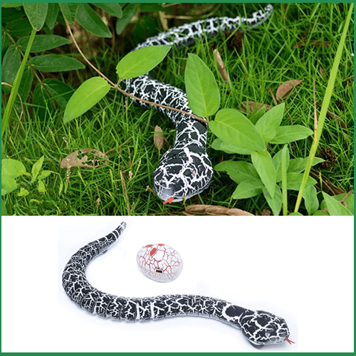 REMOTE CONTROL TOY SNAKE 1