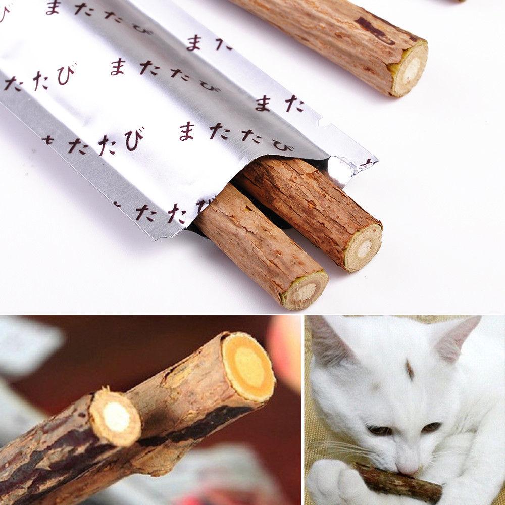 Chompy Sticks 10