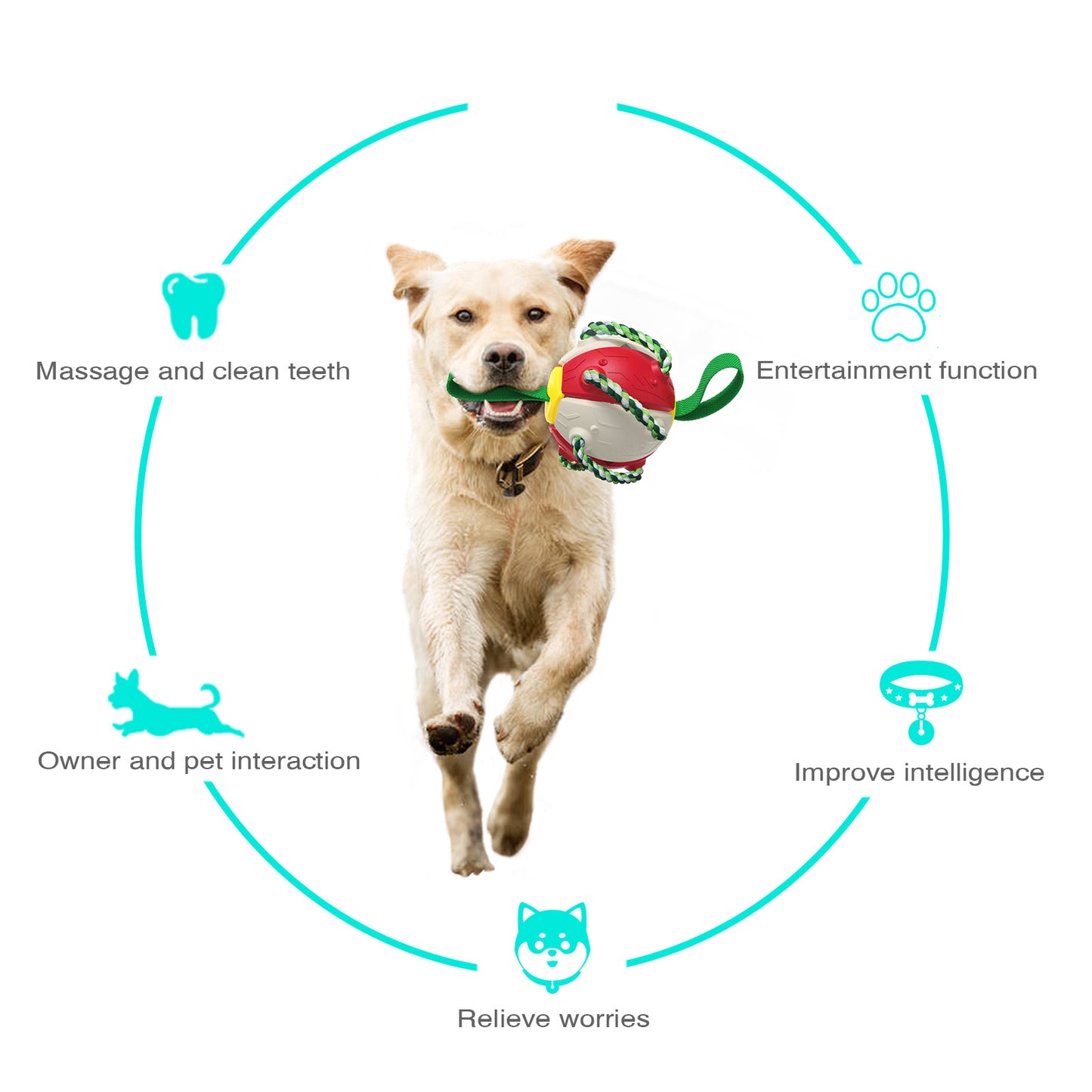 Interactive Flying Disk Ball Dog Toy 10