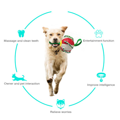 Interactive Flying Disk Ball Dog Toy 10