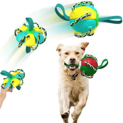 Interactive Flying Disk Ball Dog Toy 11