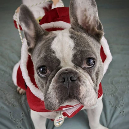 Royal Wise Running Santa Christmas Pet Costumes 2