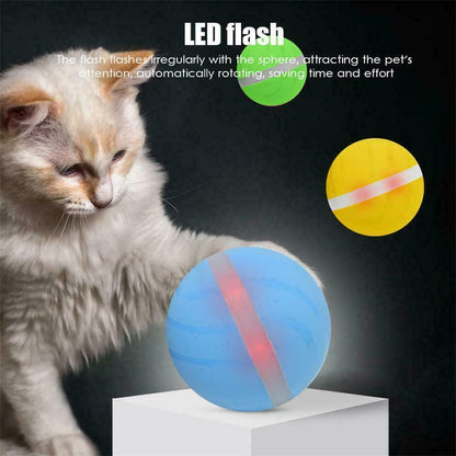 Motion Ball For Pets 2