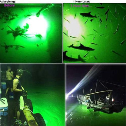 Fishing green light 2