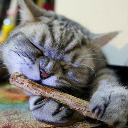 Chompy Sticks 2