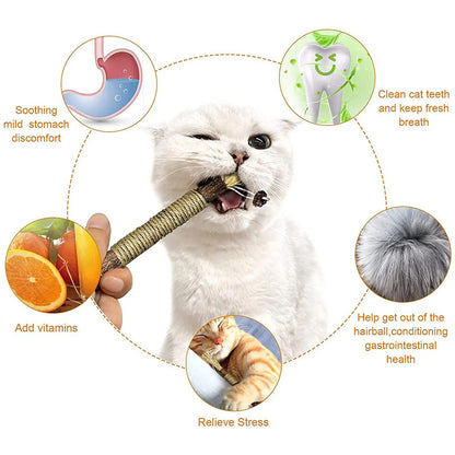 CAT SILVERVINE CHEWING STICK 2
