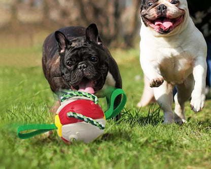 Interactive Dog Toy 2