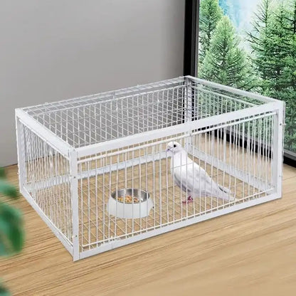 AutoTrap Bird Cage 2