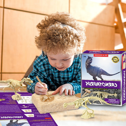 Dinosaur Fossil Digging Kit 2