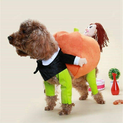 Dog pumpkin Halloween costume 2