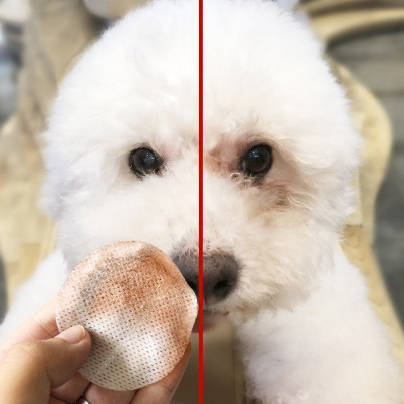 Pet Eye Grooming Wipes 2
