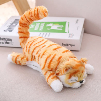 Funny Rolling Cat 2