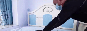 Bed Assist Rail 2
