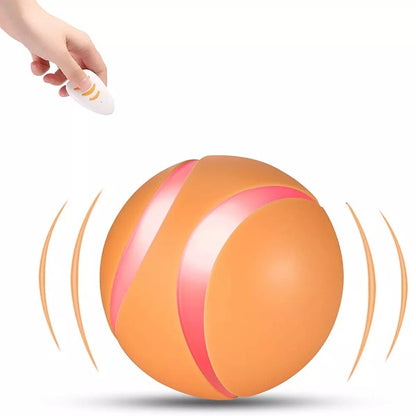 Remote Control Pet Bounce Ball 2