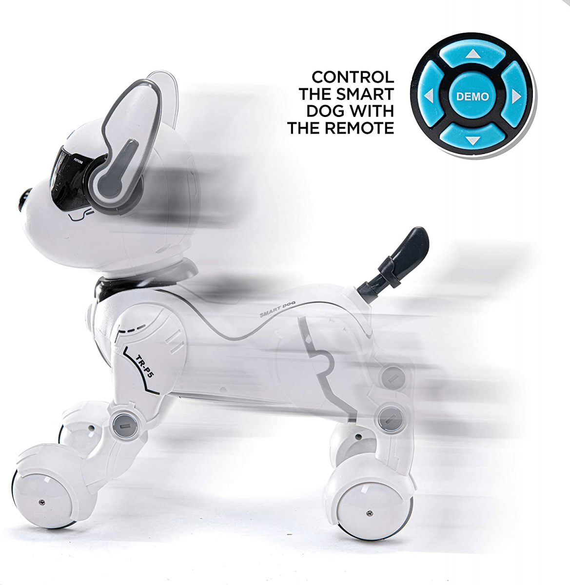 Smart Dog 2