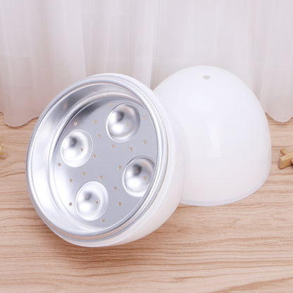 Egg Microwave Oven 2