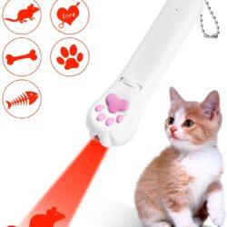 LED Light Pointer 2