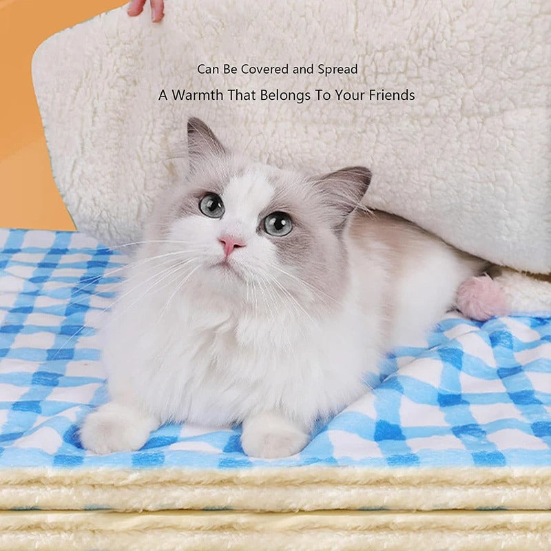 Cozy Checkered Pet Blanket 2