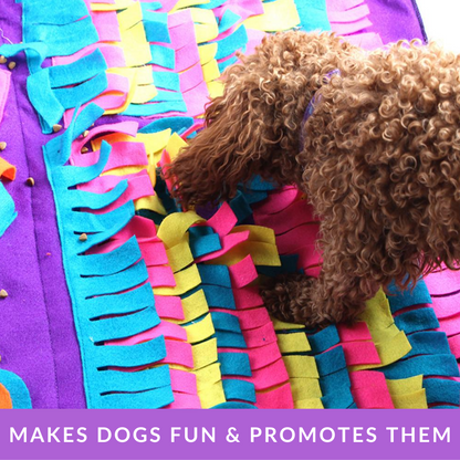 Pet Sniffing Puzzle Toy 2