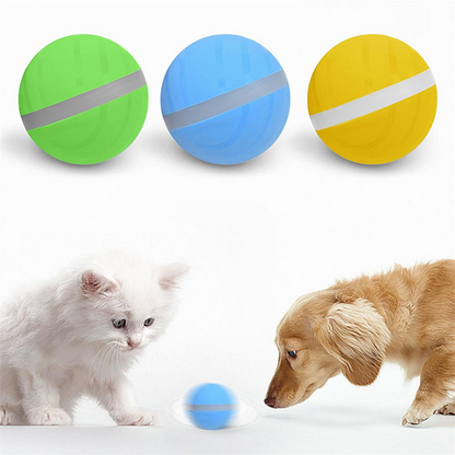 Motion Ball For Pets 2