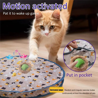 Furry Hide-N-Roll Interactive Cat Toy 2