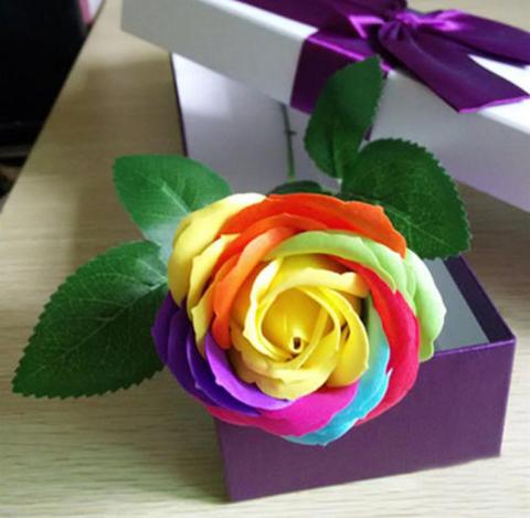 100 RARE RAINBOW ROSE FLOWER SEEDS WITH GIFT 2