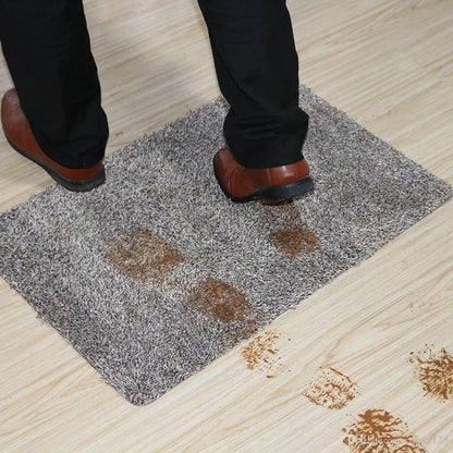 Magic Door Mat 2