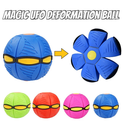 Doggy Flying Saucer Disc Ball 2