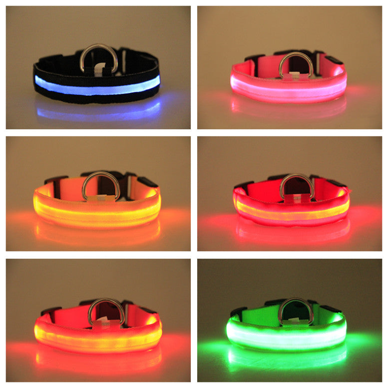 Pet Led Collar 2
