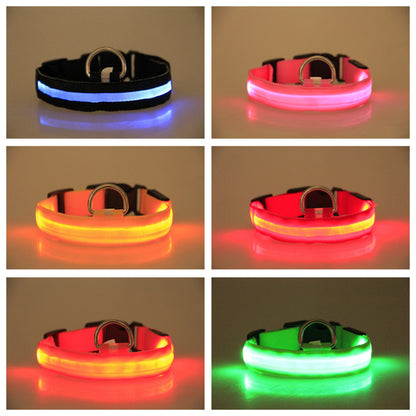Pet Led Collar 2