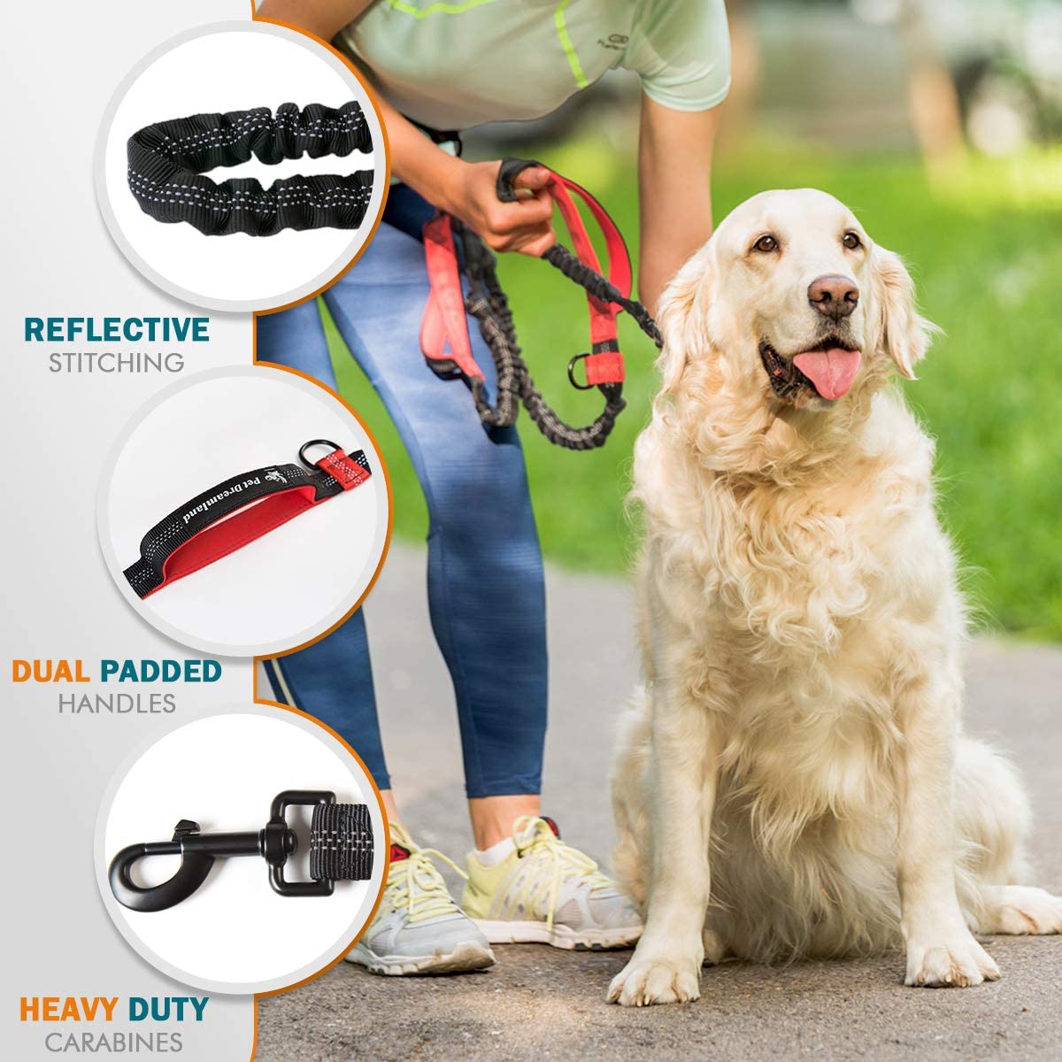 Hands-free Dog Leash/Heavy Duty 2