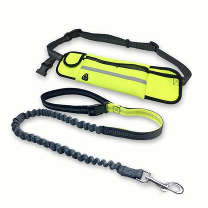 Handsfree Bungee Dog Leash 2