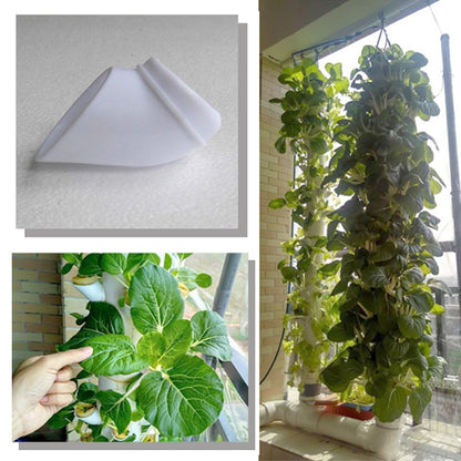 PLANT GROW CUPS- 40 Pcs 2