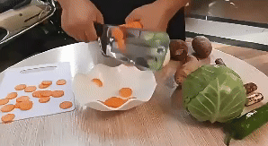 Stainless Steel Shredder 2