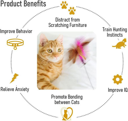 Cat Interactive Feather Collar Teaser Toy 2
