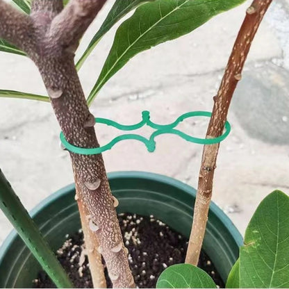 Garden Plant Holder-1000PCS 2