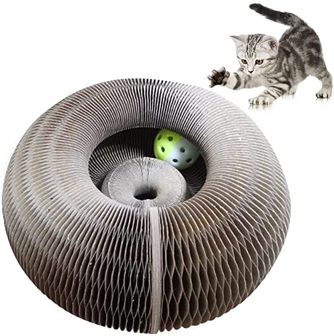 MAGIC ORGAN CAT SCRATCHING BOARD 2