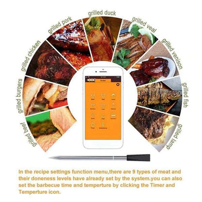 BBQ Wireless Thermometer 2
