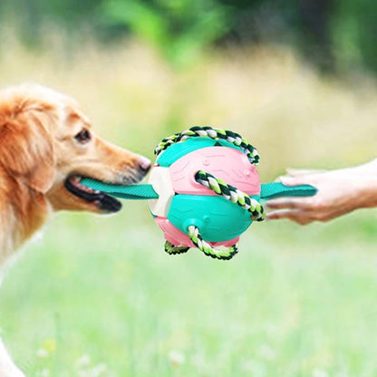Interactive Flying Disk Ball Dog Toy 2