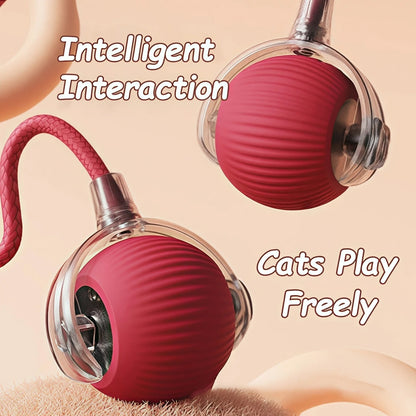 Rollraptor interactive pet toy ball 2